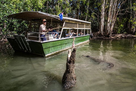 Hartley\'s Crocodile Adventures Day Trip From Palm Cove - Accommodation Melbourne 0