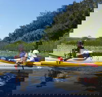 2 Day Self-Guided Noosa Everglades Kayak Tour - Accommodation Melbourne