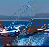 Blue Dolphin Exclusive Whale Watch Encounters - Accommodation Melbourne