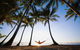 Port Douglas And Hartley's Crocodile Adventure Day Trip From Cairns - thumb 0