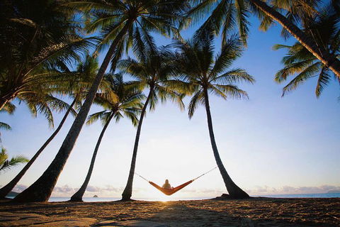 Port Douglas And Hartley's Crocodile Adventure Day Trip From Cairns - Accommodation Melbourne 0