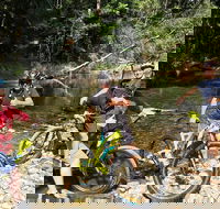 Electric Mountain Bike Rainforest Eco Tour - Accommodation Melbourne