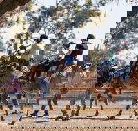 Camel Rides - Accommodation Melbourne