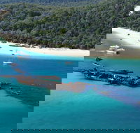 All Inclusive Dolphin and Tangalooma Wrecks Cruise Departing Gold Coast - Accommodation Melbourne
