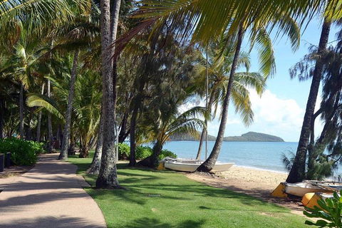 Palm Cove, Clifton Beach, Kewarra Beach To/from Cairns - Accommodation Melbourne 0