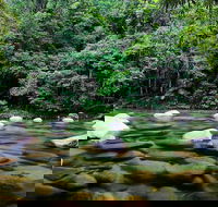 Mossman Silky Oaks to/from Cairns - Accommodation Melbourne