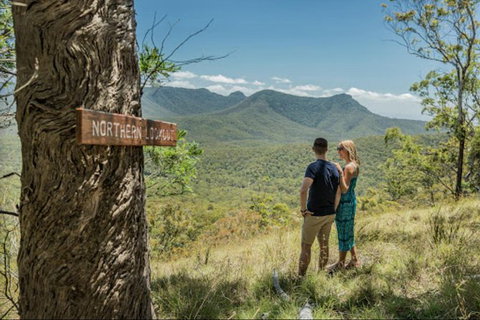Queensland Food Tour: The Ultimate Delectable Full Day Experience - Accommodation Melbourne 1