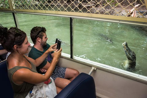 Hartley\'s Crocodile Adventures General Entry Ticket - Accommodation Melbourne 1