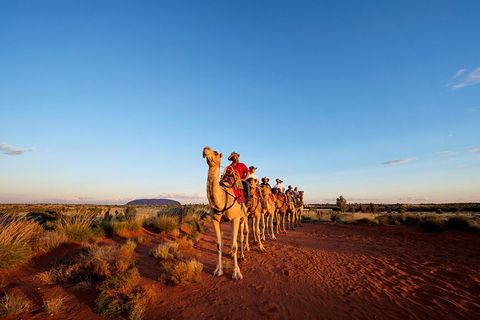 Uluru Small-Group Tour By Camel At Sunrise Or Sunset - Accommodation Melbourne 0