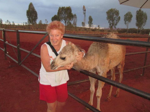 Uluru Small-Group Tour By Camel At Sunrise Or Sunset - Accommodation Melbourne 18