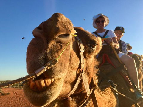 Uluru Small-Group Tour By Camel At Sunrise Or Sunset - Accommodation Melbourne 7
