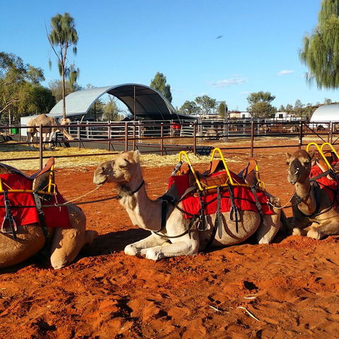 Uluru Small-Group Tour By Camel At Sunrise Or Sunset - Accommodation Melbourne 15