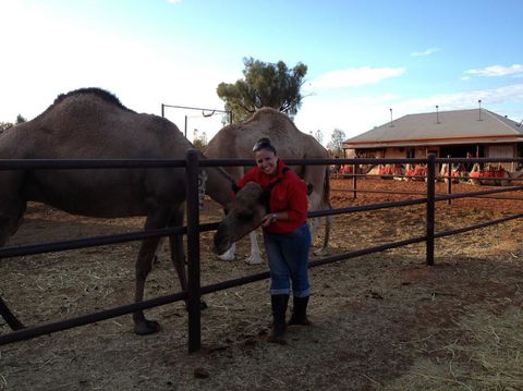 Uluru Small-Group Tour By Camel At Sunrise Or Sunset - Accommodation Melbourne 21