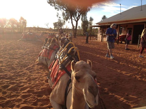 Uluru Small-Group Tour By Camel At Sunrise Or Sunset - Accommodation Melbourne 22