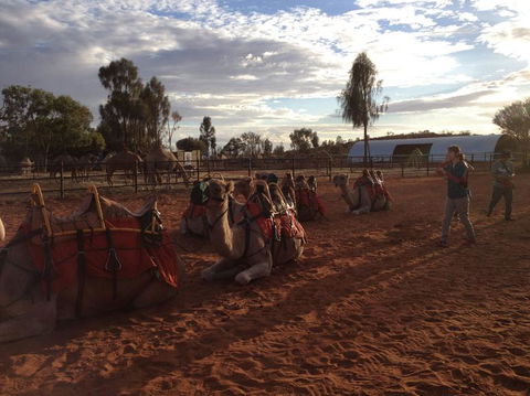 Uluru Small-Group Tour By Camel At Sunrise Or Sunset - Accommodation Melbourne 23