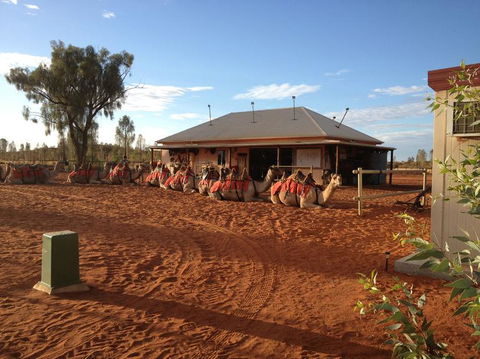 Uluru Small-Group Tour By Camel At Sunrise Or Sunset - Accommodation Melbourne 19