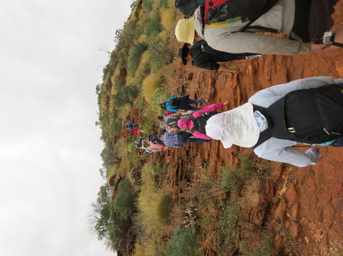 Kings Canyon Day Trip From Ayers Rock - Accommodation Melbourne 14