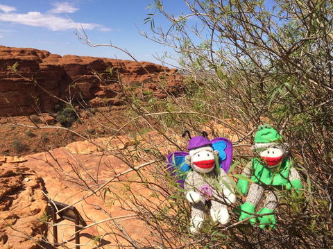 Kings Canyon Day Trip From Ayers Rock - Accommodation Melbourne 23