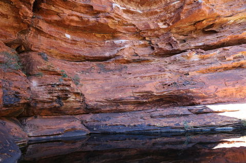 Kings Canyon Day Trip From Ayers Rock - Accommodation Melbourne 16