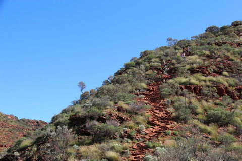 Kings Canyon Day Trip From Ayers Rock - Accommodation Melbourne 21