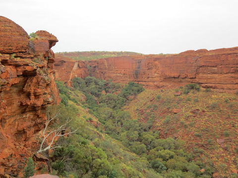Kings Canyon Day Trip From Ayers Rock - Accommodation Melbourne 13