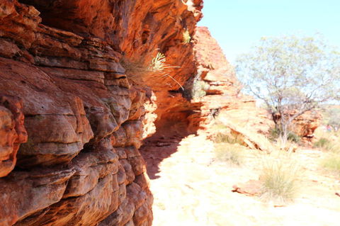 Kings Canyon Day Trip From Ayers Rock - Accommodation Melbourne 20
