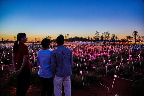 Uluru Field Of Light Sunrise Tour - Accommodation Melbourne 0