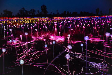 Uluru Field Of Light Sunrise Tour - Accommodation Melbourne 1