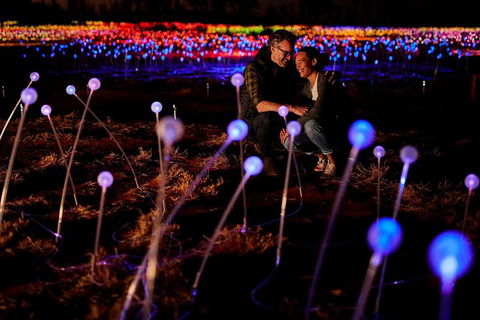Uluru Field Of Light Sunrise Tour - Accommodation Melbourne 6