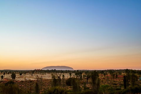 Uluru Field Of Light Sunrise Tour - Accommodation Melbourne 12