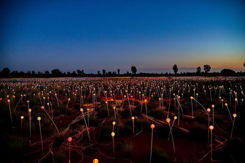 Uluru Field Of Light Sunrise Tour - Accommodation Melbourne 7