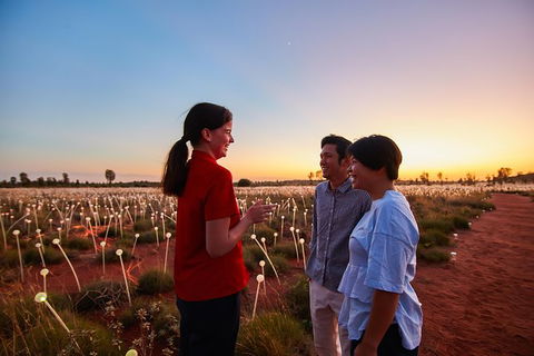 Uluru Field Of Light Sunrise Tour - Accommodation Melbourne 9