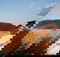 Uluru Ayers Rock Sunset with Outback Barbecue Dinner and Star Tour - Accommodation Melbourne