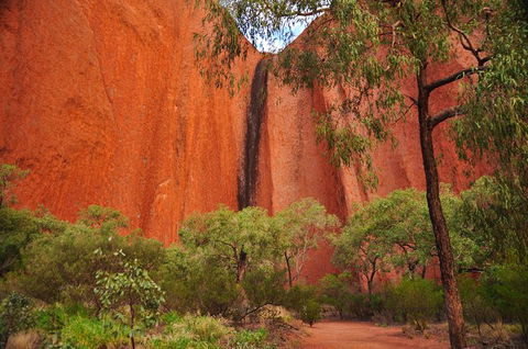 Uluru Sunrise And Guided Base Walk - Accommodation Melbourne 14