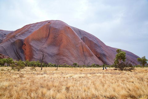 Uluru Base And Sunset Half-Day Trip With Optional Outback BBQ Dinner - Accommodation Melbourne 10