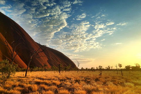 Highlights Of Uluru Including Sunrise And Breakfast - Accommodation Melbourne 5