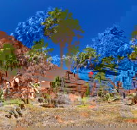 Palm Valley 4WD Tour from Alice Springs - Accommodation Melbourne