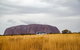 Coach Transfer From Ayers Rock To Kings Canyon - thumb 4
