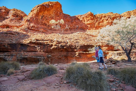 Coach Transfer From Ayers Rock To Kings Canyon - Accommodation Melbourne 7