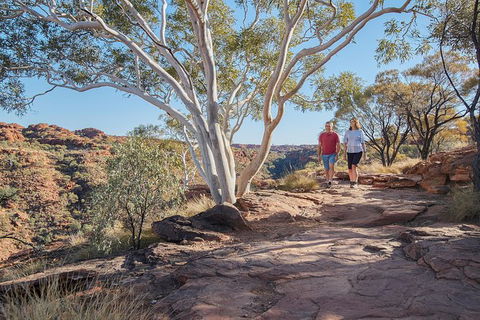 Coach Transfer From Kings Canyon To Alice Springs - Accommodation Melbourne 8