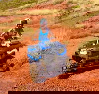 Aussie Outback Air and Land Tour Including Quad Bike Ride - Accommodation Melbourne