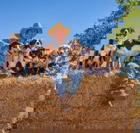 Skip-the-Line Katherine Outback Experience Show Ticket - Accommodation Melbourne