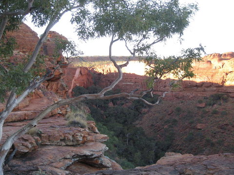 3-Day Uluru And Kings Canyon Camping Experience From Alice Springs Including Outback BBQ Dinner - Accommodation Melbourne 1