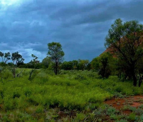 3-Day Ayers Rock To Alice Springs Camping Tour Including Kings Canyon, Kata Tjuta And Uluru - Accommodation Melbourne 11