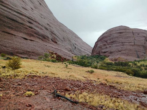 3-Day Ayers Rock To Alice Springs Camping Tour Including Kings Canyon, Kata Tjuta And Uluru - Accommodation Melbourne 4