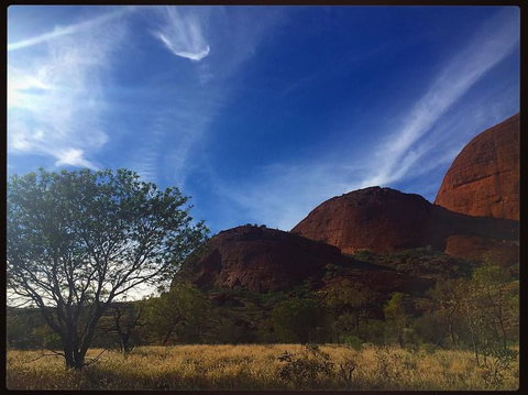 3-Day Ayers Rock To Alice Springs Camping Tour Including Kings Canyon, Kata Tjuta And Uluru - Accommodation Melbourne 14