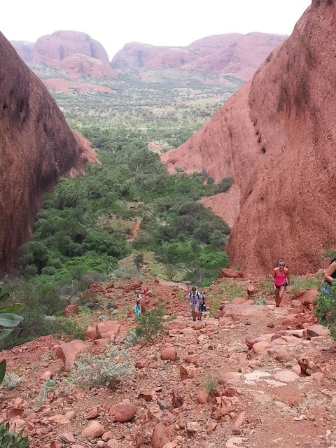 3-Day Ayers Rock To Alice Springs Camping Tour Including Kings Canyon, Kata Tjuta And Uluru - Accommodation Melbourne 7
