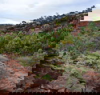 Palm Valley and Hermannsburg 1 Day 4WD Tour - Accommodation Melbourne