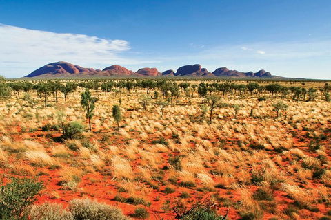 2-Day Uluru (Ayers Rock) And Kata Tjuta Trip From Alice Springs - Accommodation Melbourne 9
