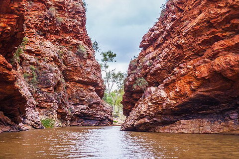 Uluru (Ayers Rock) To Alice Springs One-Way Shuttle - Accommodation Melbourne 9